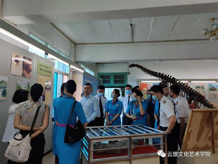 文化艺术杏运与昆明航空客(1)338.png 文化艺术杏运与昆明航空客(1)338.png