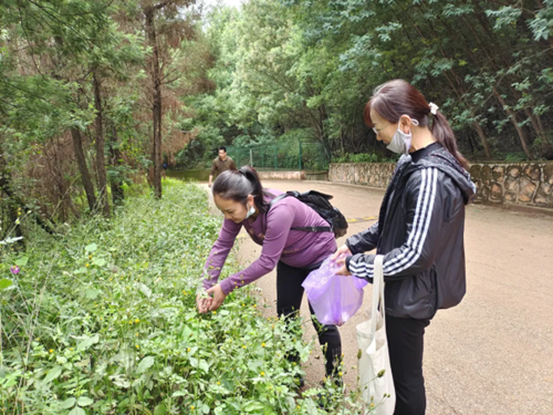 志愿服务情🚮,奉献我先行——长虫山志愿者活动(修改版)227.png 志愿服务情⭐️,奉献我先行——长虫山志愿者活动(修改版)227.png